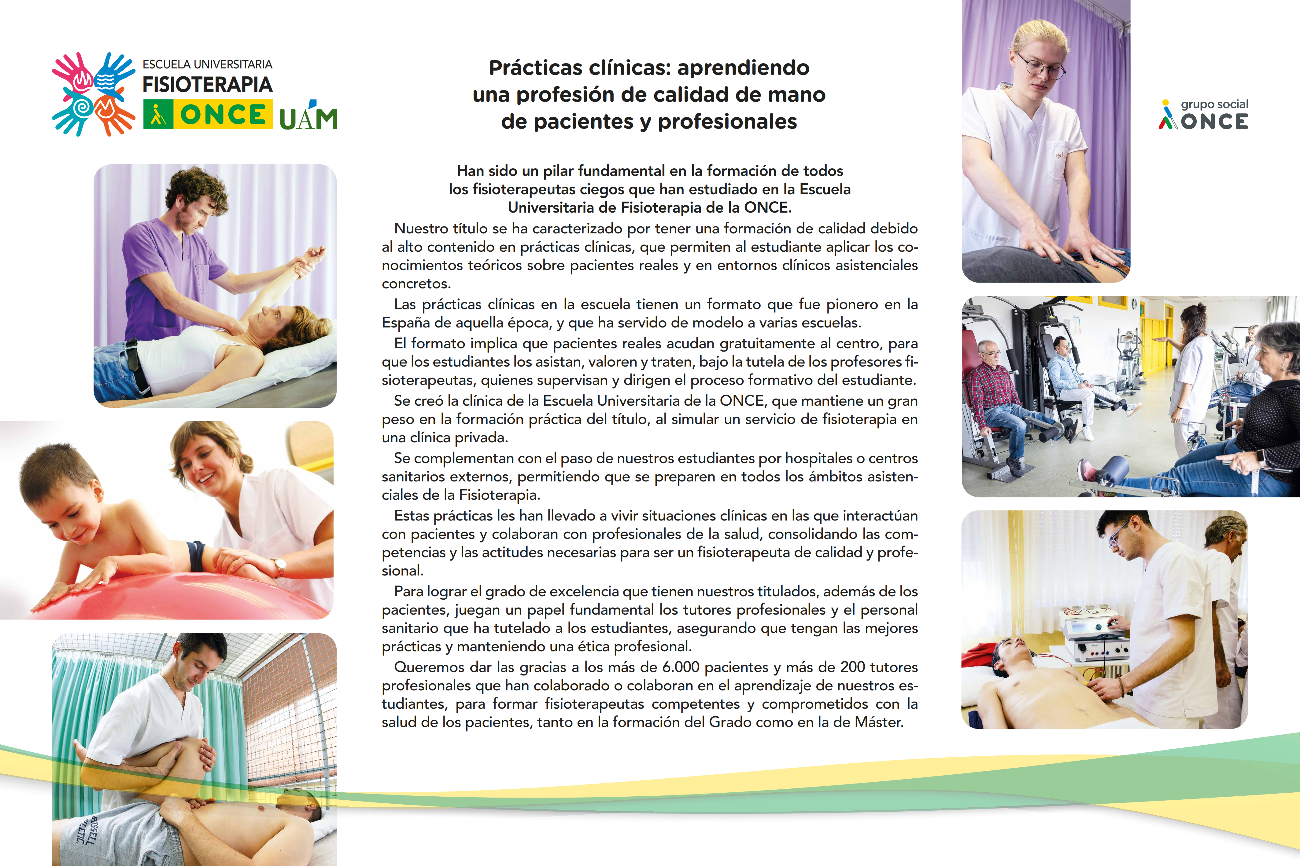 Panel 5 Prácticas Clínicas