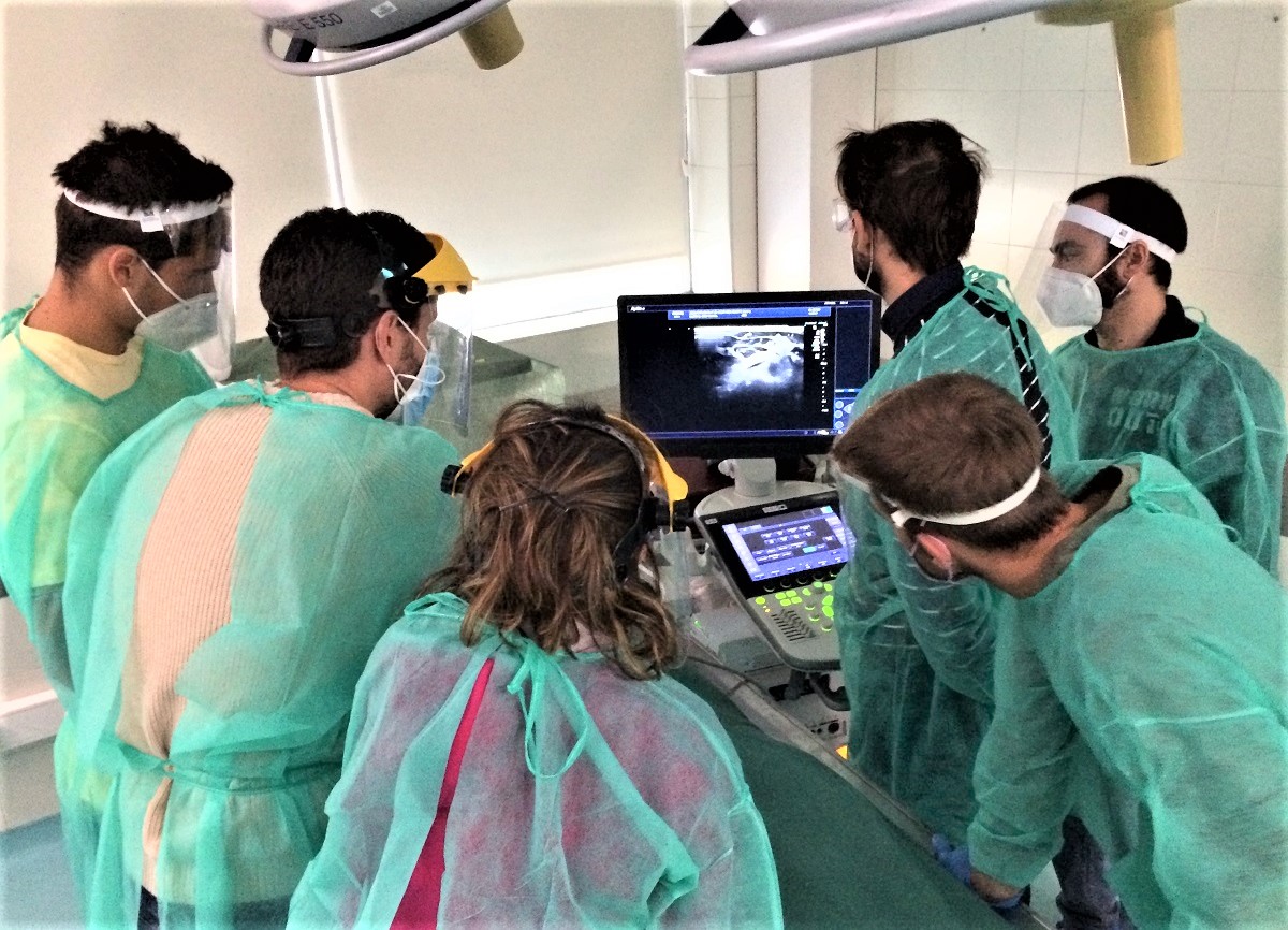 Imagen Anatomía Ecográfica y Técnicas Avanzadas